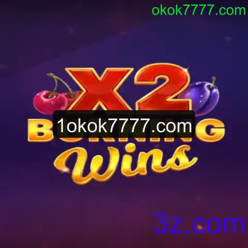 Explorando o Mundo do Jogo BurningWinsX2